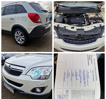 Opel Antara cena 29900 przebieg: 159000, rok produkcji 2012 z Zgierz małe 781